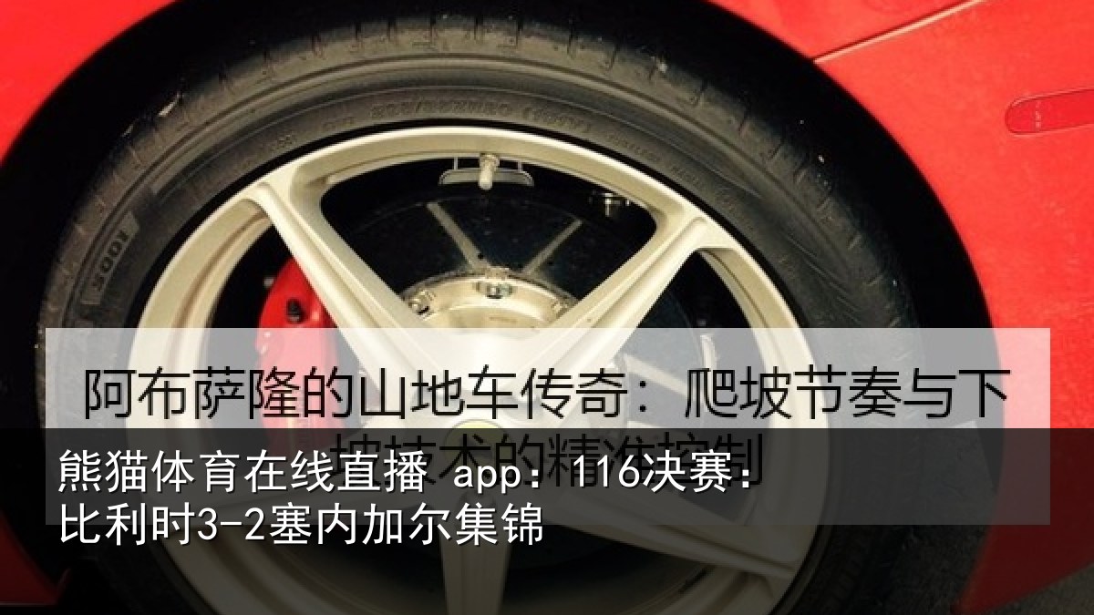 熊猫体育在线直播 app：116决赛：比利时3-2塞内加尔集锦