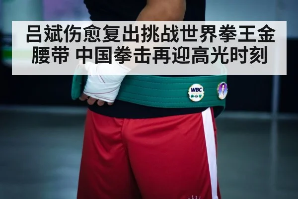 boxing champion belt
