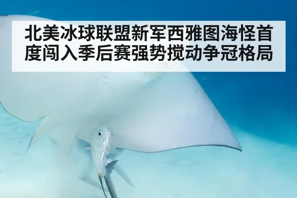北美冰球联盟新军西雅图海怪首度闯入季后赛强势搅动争冠格局
